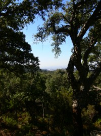 Area Recreativa El Picacho